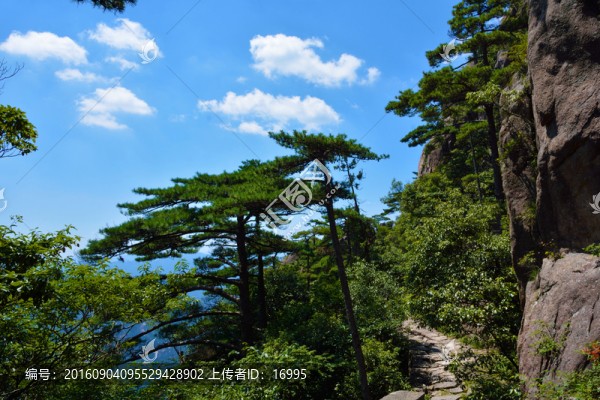 黃山