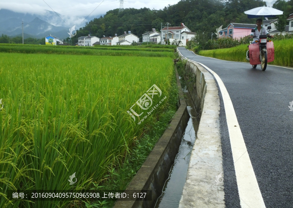 農(nóng)村