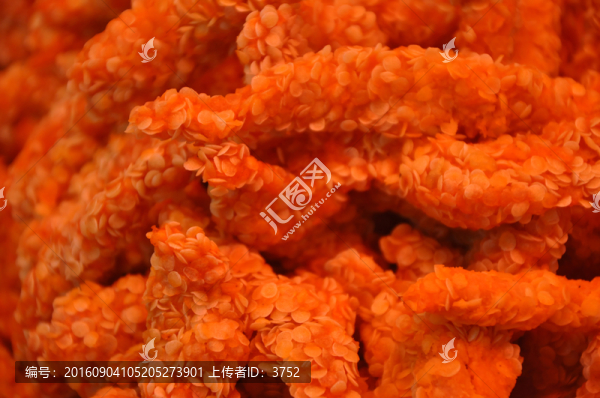 雞柳,美食