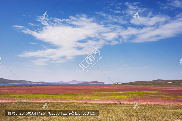 草原情