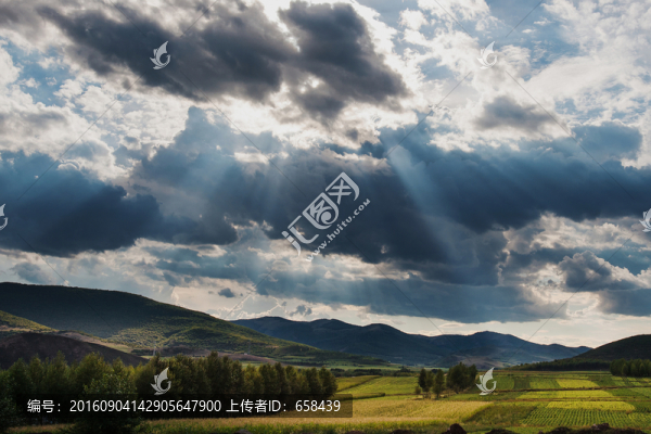 草原情