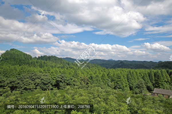 南川金佛山