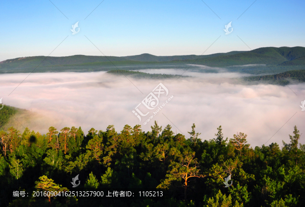 晨霧