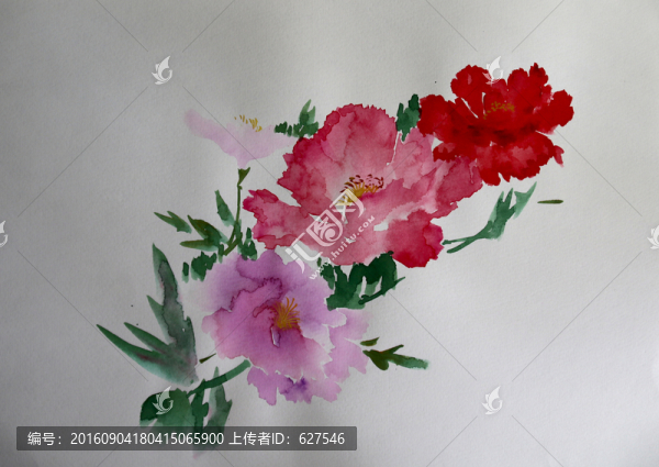 水彩花卉