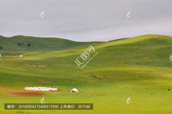 草原風(fēng)光