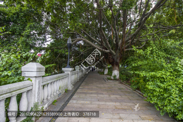 廣東省中山市西堤路休閑步道