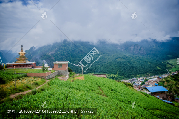 扎尕那