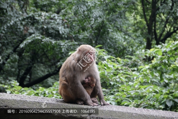 喂奶