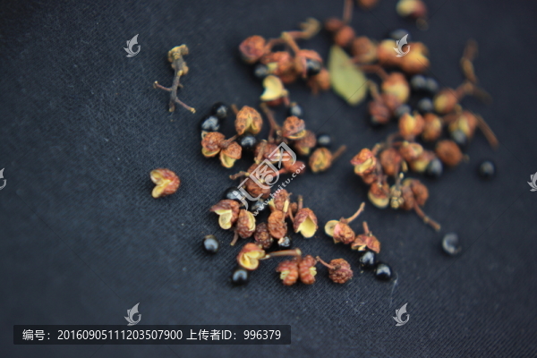 大椒秦椒蜀椒川椒山椒花椒無ps