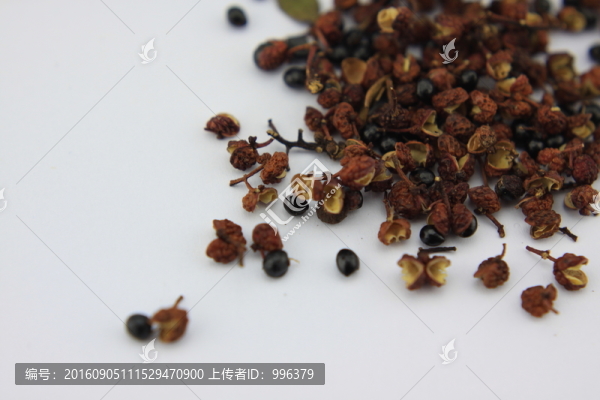 大椒秦椒蜀椒川椒山椒花椒無(wú)ps