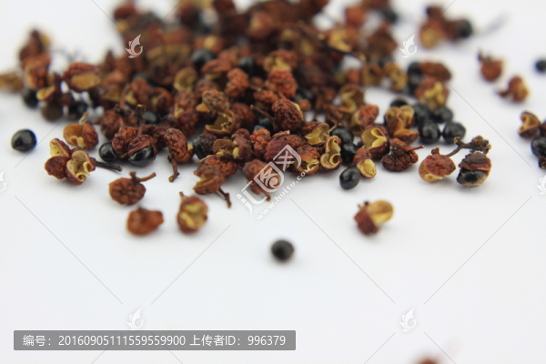 大椒秦椒蜀椒川椒山椒花椒無ps
