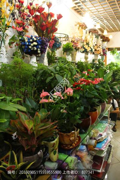 花店
