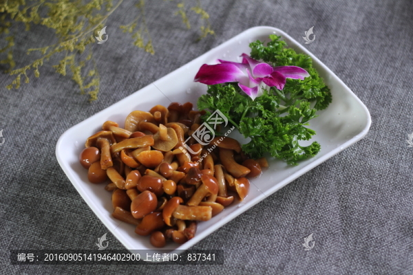 滑子菇