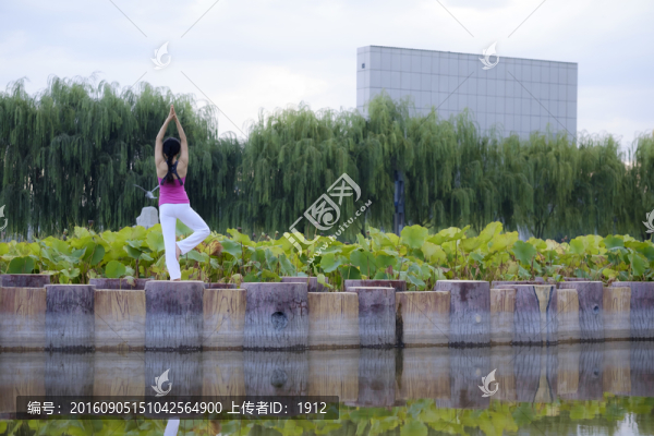 瑜伽