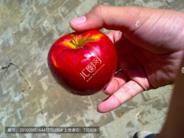 紅蘋果