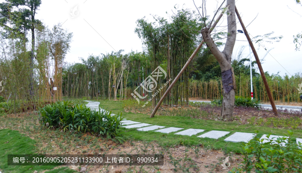 綠化,休閑,園林