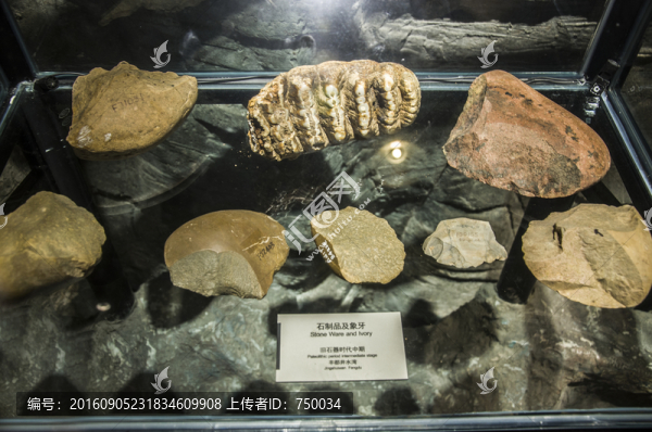 石制品,化石