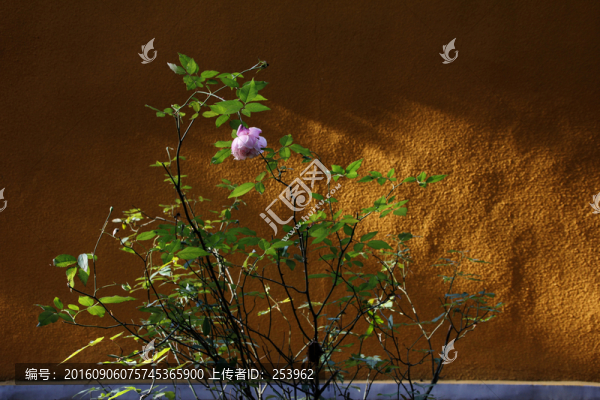 寺院墻