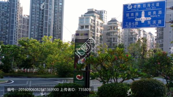 城市綠化