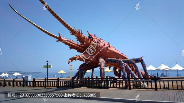 龍蝦模型