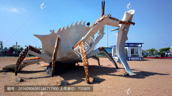 螃蟹模型