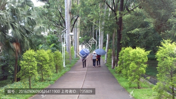 行人背影