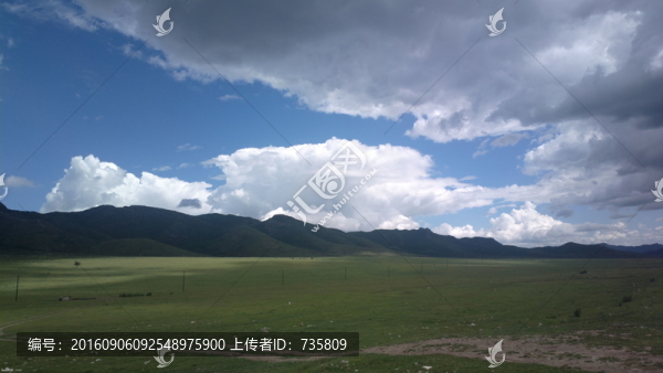開闊的牧場