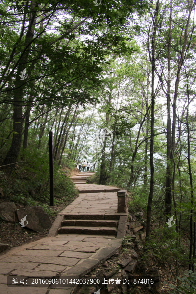 山間,小路