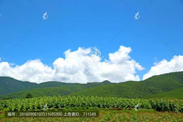 云南風(fēng)光