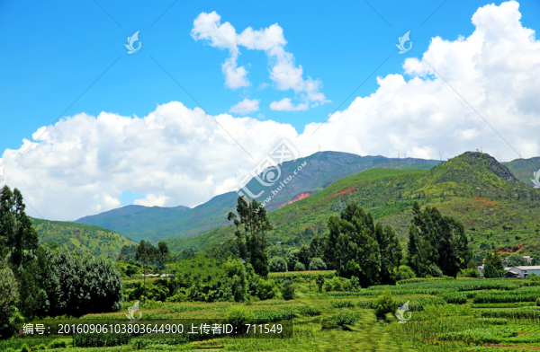 云南風(fēng)光