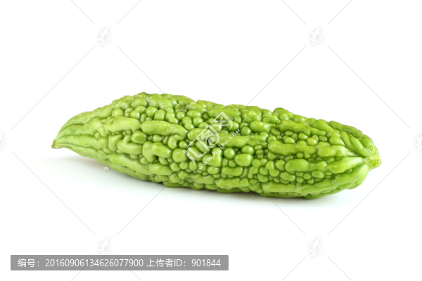 苦瓜