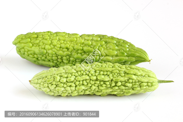 苦瓜