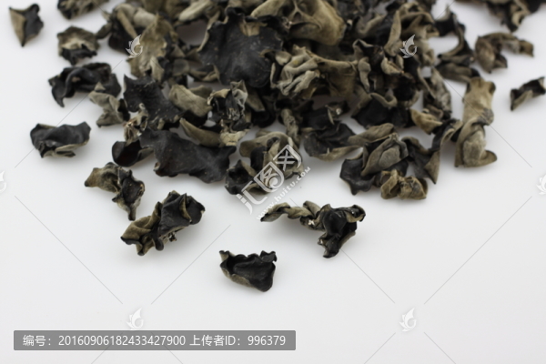東北黑木耳木耳干原圖無PS