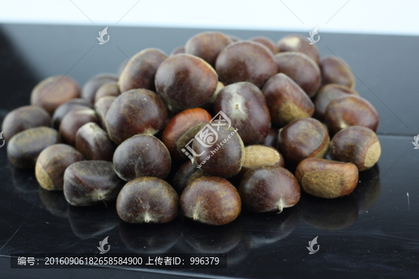 生板栗生毛栗原圖無PS