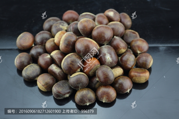 生板栗生毛栗原圖無PS