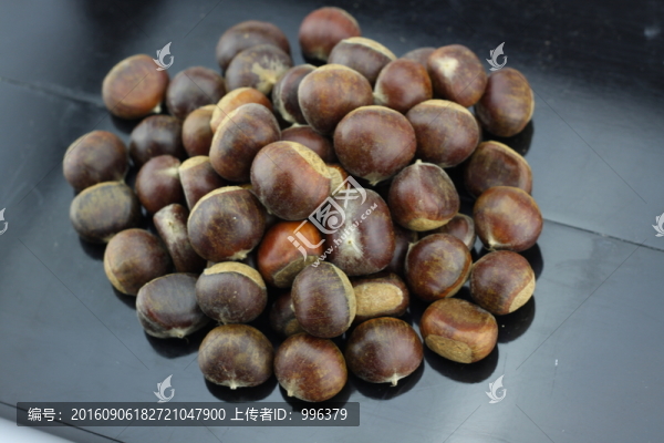 生板栗生毛栗原圖無PS