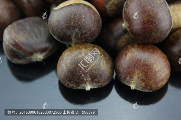 生板栗生毛栗原圖無PS
