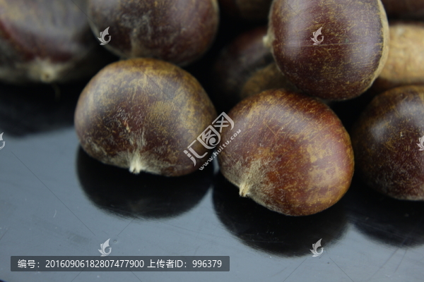 生板栗生毛栗原圖無PS