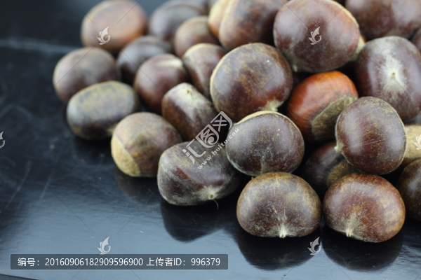 生板栗生毛栗原圖無PS