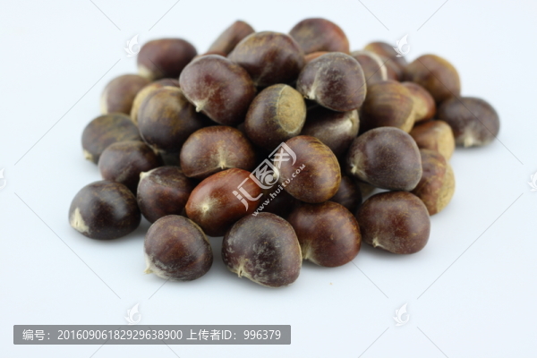 生板栗生毛栗原圖無PS