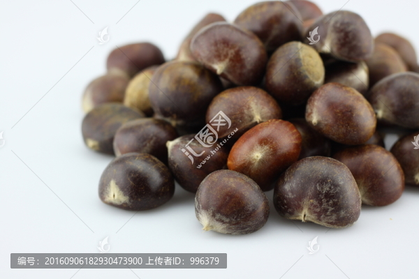 生板栗生毛栗原圖無(wú)PS