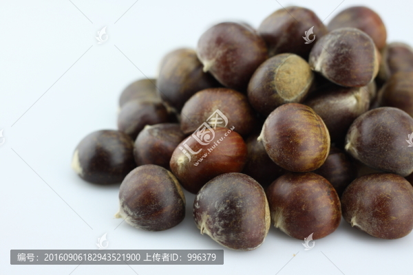 生板栗生毛栗原圖無PS
