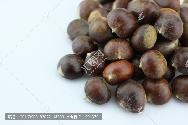生板栗生毛栗原圖無PS