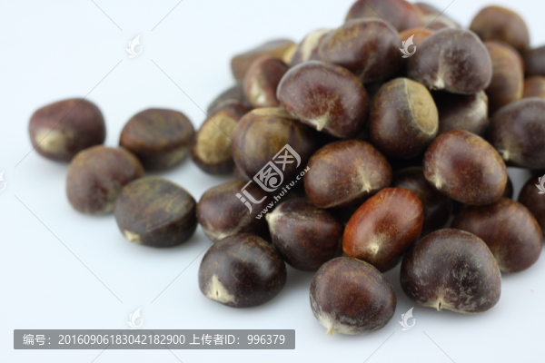 生板栗生毛栗原圖無PS