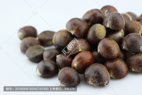 生板栗生毛栗原圖無PS