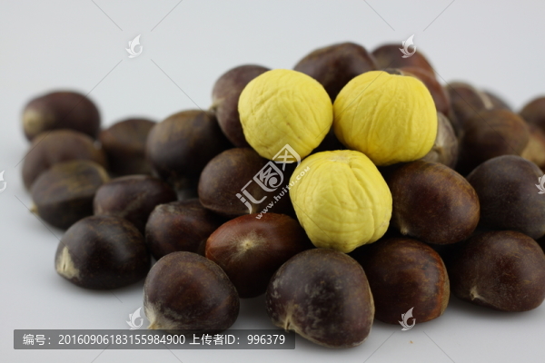 生板栗生毛栗原圖無PS
