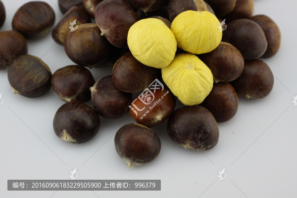 生板栗生毛栗原圖無PS