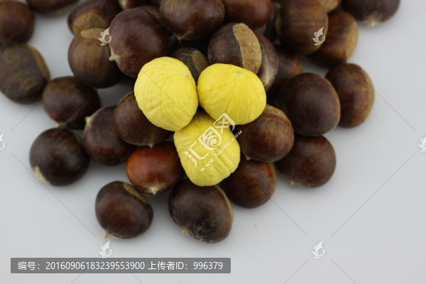 生板栗生毛栗原圖無PS
