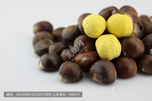 生板栗生毛栗原圖無(wú)PS