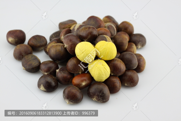 生板栗生毛栗原圖無PS